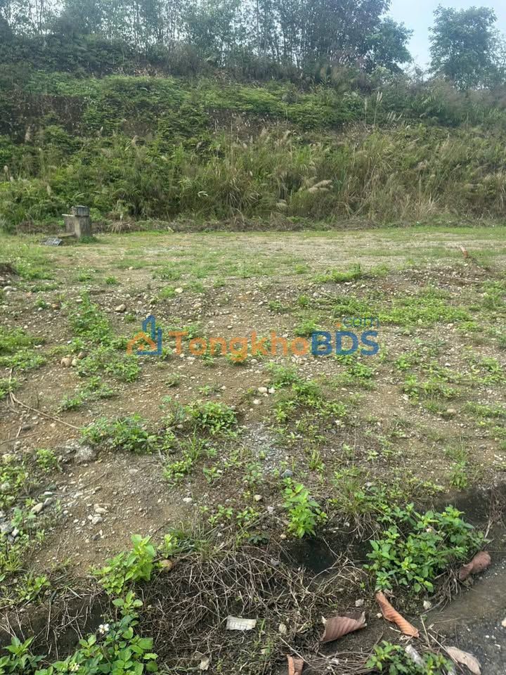 Bán Gấp 2 Lô Liền Kề Xuân Đỉnh, Bắc Từ Liêm - 132m² Giá 1.48 Tỷ