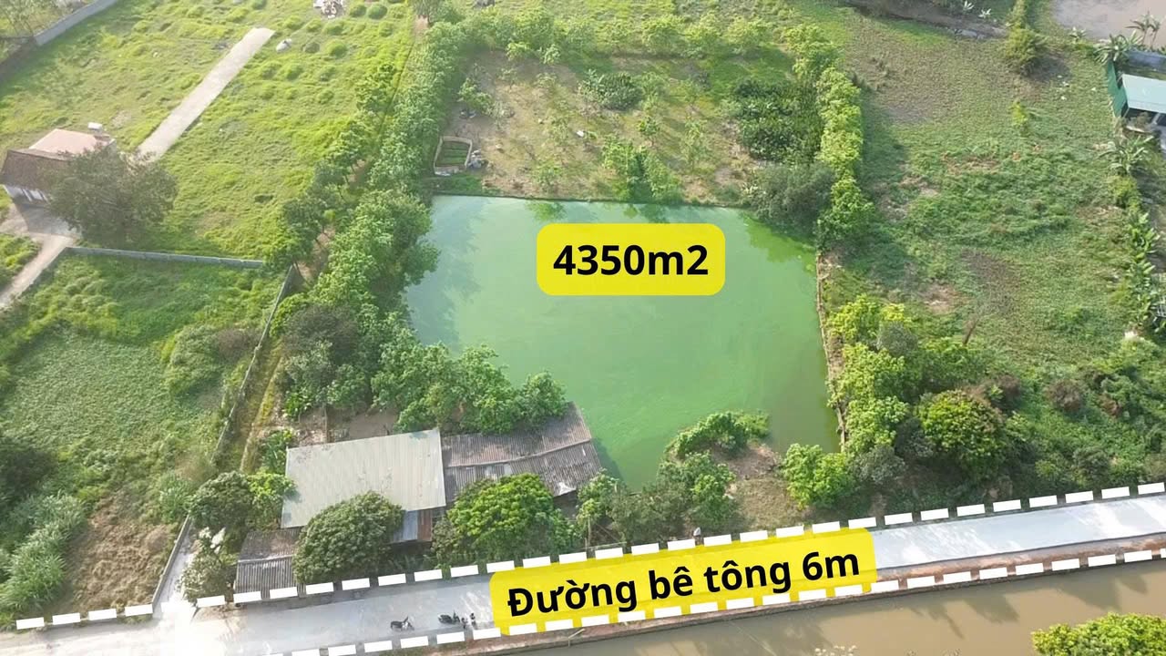 Bán gấp 4350m² đất trang trại Cấn Hữu, Quốc Oai - Sổ hồng trao tay