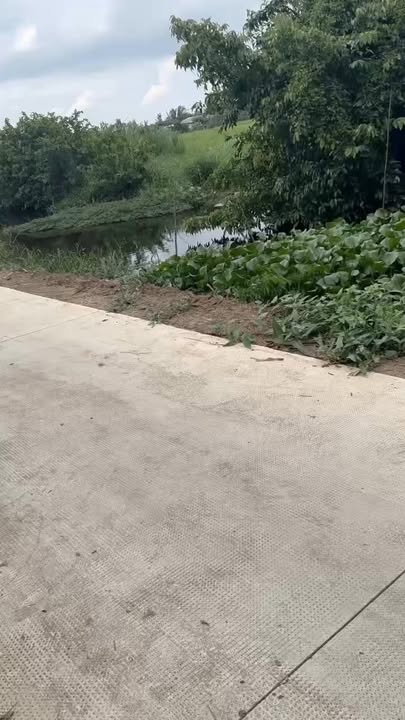 Đất Nền Bến Tre 1082m² - Lộ Đan Rộng, Giá 7 Tỷ