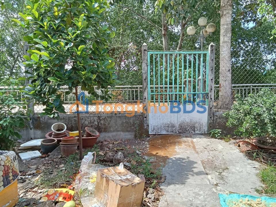 Nhà 2 Mặt Tiền Lý Thường Kiệt, Cần Thơ - 250m² Kinh Doanh Đắc Lợi