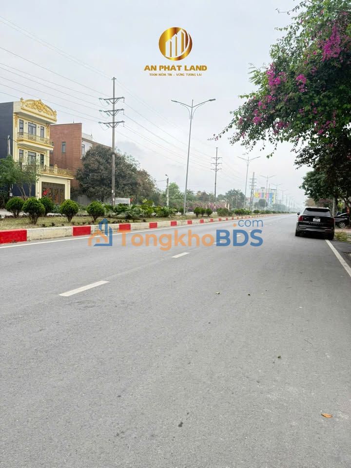 Bán Đất Vườn Triệu Việt Vương Ninh Bình 228m² - Sẵn Sàng Xây Dựng