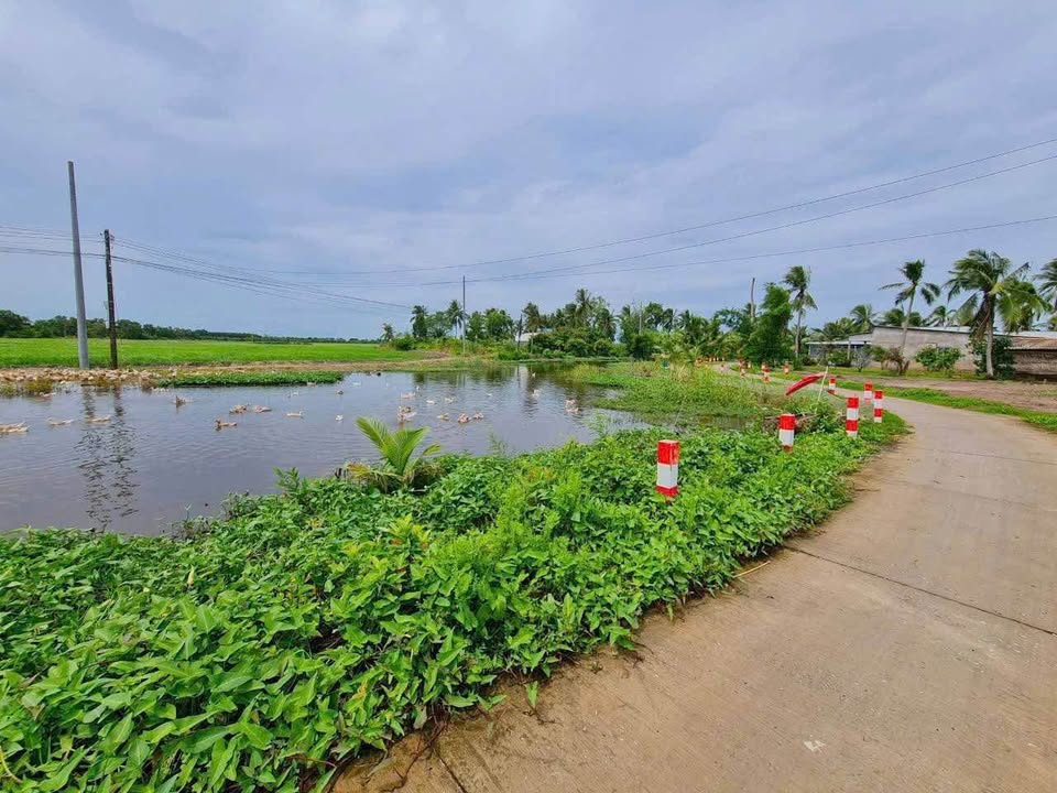 Bán Đất Vườn Cà Mau 1.110m² Giá Tốt - View Kênh Ngọt, Gần Trung Tâm
