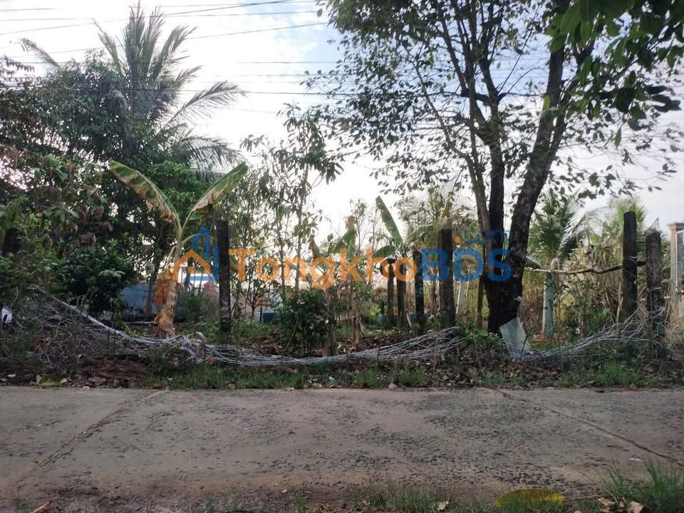 Bán đất Cà Mau 690m² ngang 15m, mặt tiền lộ 2,5m - Đầu tư sinh lời