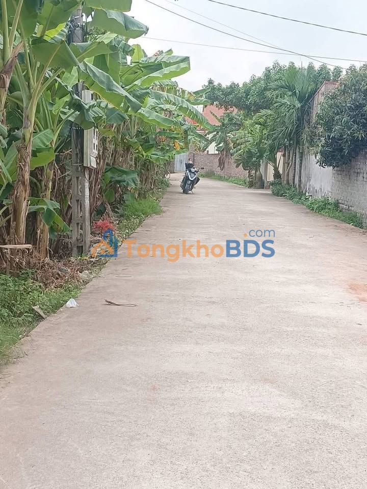 Bán đất Thượng Tùng, Bắc Ninh 100m² full thổ cư - Sẵn sàng xây trọ, tiềm năng sinh lời cao