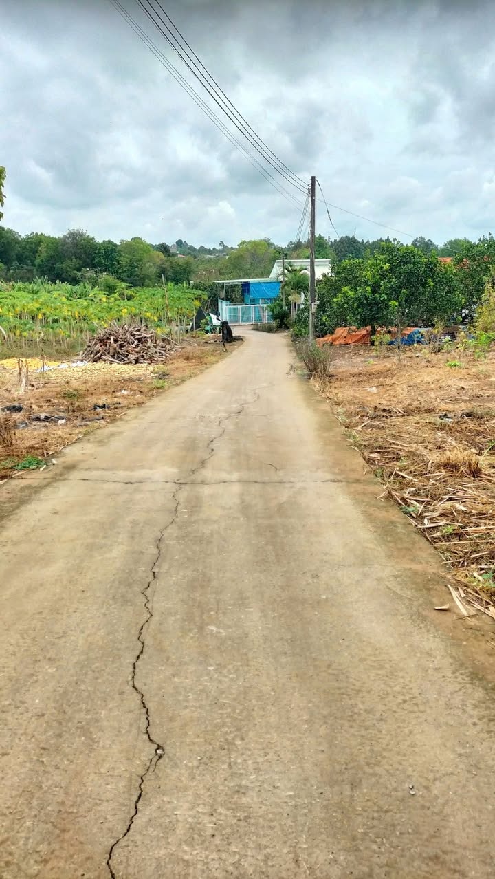 Bán Gấp Đất Vàng 1200m² Châu Đức - Sổ Đỏ Riêng, Giá Đầu Tư 1.38 Tỷ