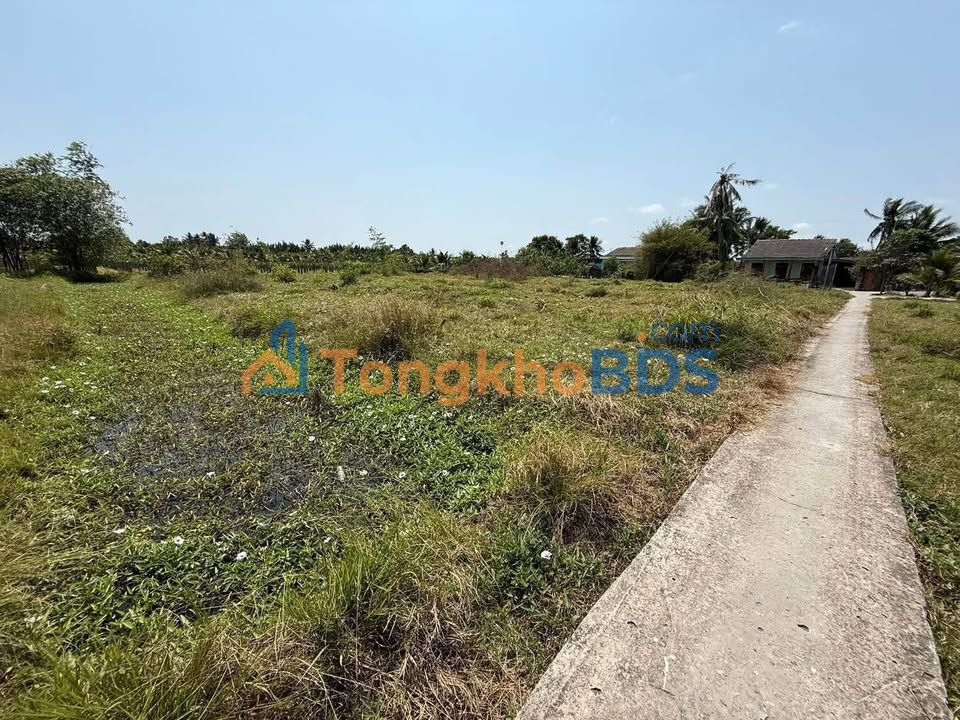 Đất Vườn 2200m² Long An - Sổ Đỏ Rõ Ràng, Giá Đầu Tư 1.43 Tỷ