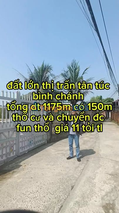 Đất 1175m² 2 Mặt Tiền Tân Túc, Bình Chánh - Sổ Hồng Thổ Cư, Giá Đầu Tư