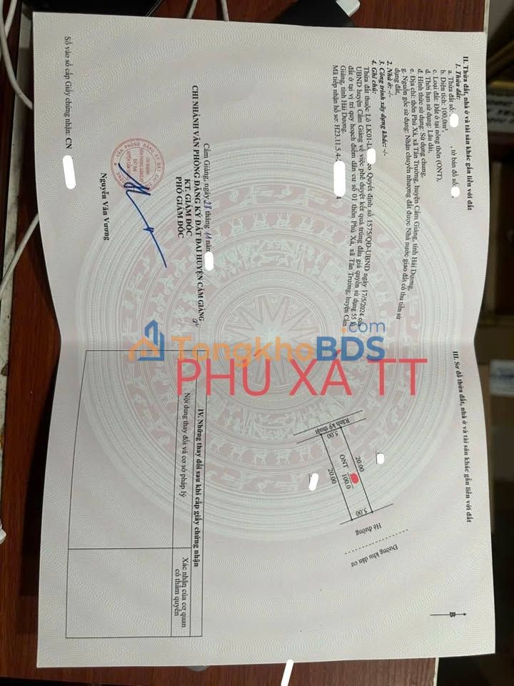 Đất nền LK1 Phú Xá, Cẩm Giàng - 100m², MT 5m, view KCN Tân Trường