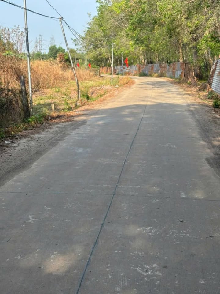 Bán Gấp Nhà Hẻm 5m Tân Khai, Hớn Quản - 2000m² Giá 500 Triệu