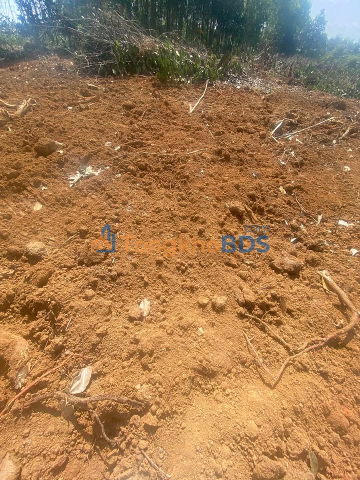 Đất Đắk Lắk 1.4ha Bám Đường 150m - Sổ Đỏ Sẵn Sàng Đầu Tư