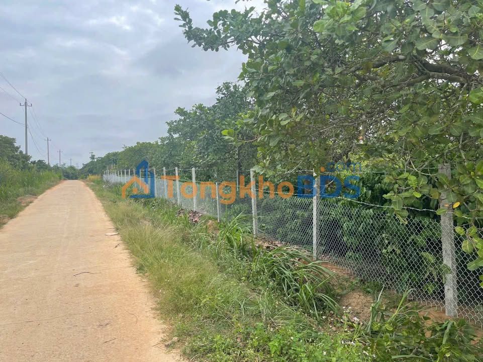 Farm 17.000m² Sổ Hồng Tại Ea Kar - Kinh Doanh Cà Phê, Ca Cao, Điều