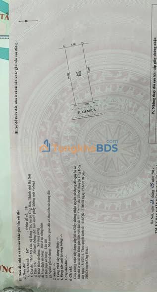 Bán Nhà 2 Tầng 80m² Mặt Đường 428, Khu Đấu Giá Đông Tân, Ứng Hòa - Giá 6 Tỷ