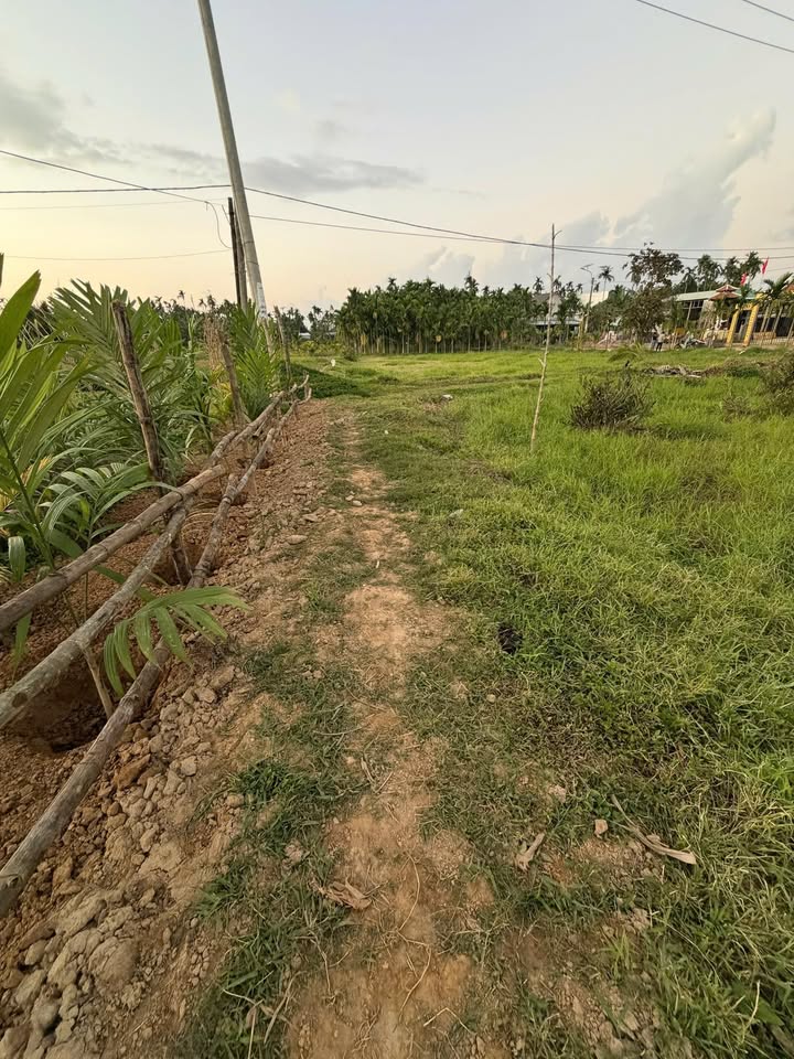 Đất 350m² Sổ Hồng Duy Vinh, Duy Xuyên - Giá 135 Triệu/Sổ