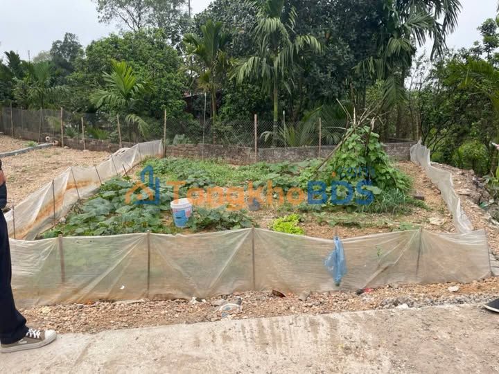 Đất Đấu Giá Vạn Kim, Mỹ Đức 100m² - Sổ Đỏ Trao Tay, Tiềm Năng Đầu Tư