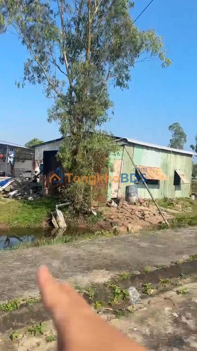 Đất nền Khu Dân Cư 270 Tam Kỳ - 100m² - 1.19 Tỷ - Sổ Đỏ Sẵn Sàng