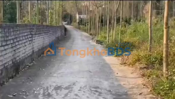 Đất nền Yên Thế, Bắc Giang 150m² - Đầu tư sinh lời, an cư lý tưởng