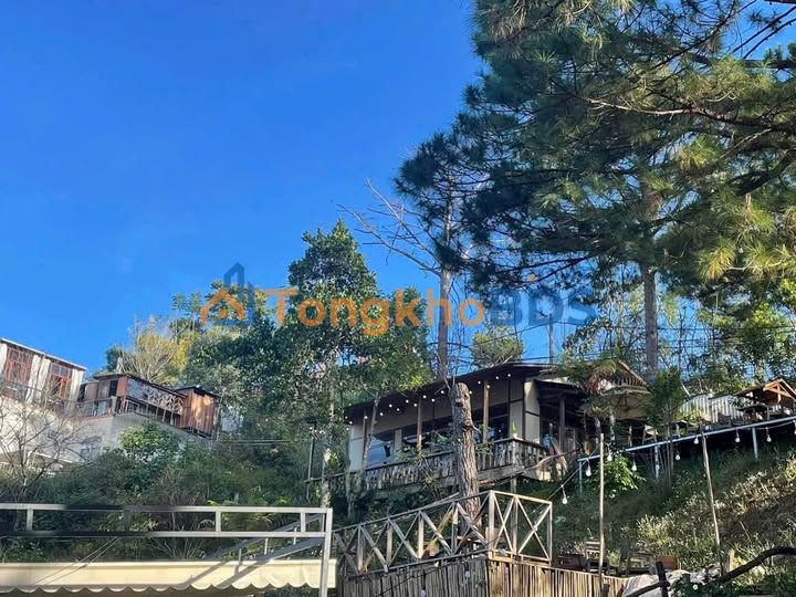 Cho thuê Villa 15PN Phường 9 Đà Lạt - 500m² Sân Vườn, Kinh Doanh Sẵn Sàng