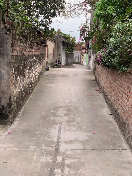 Bán Đất Gia Bình 104.6m² - Sổ Hồng Sẵn - Vị Trí Trung Tâm