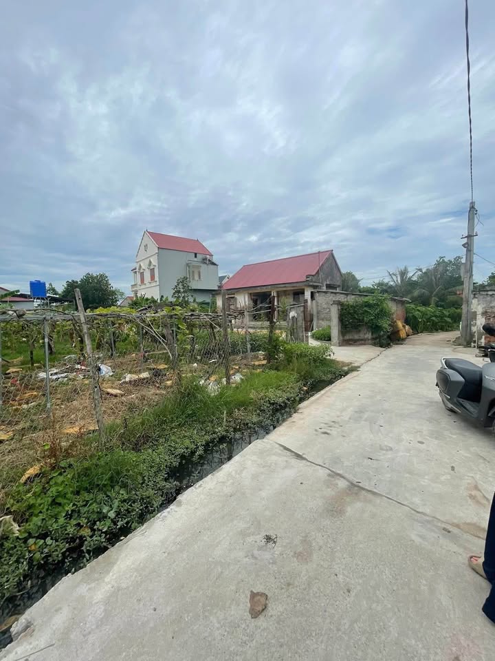 Bán đất thổ cư 148m² nở hậu, đường ô tô - Xã Bình Xuyên, Hải Dương