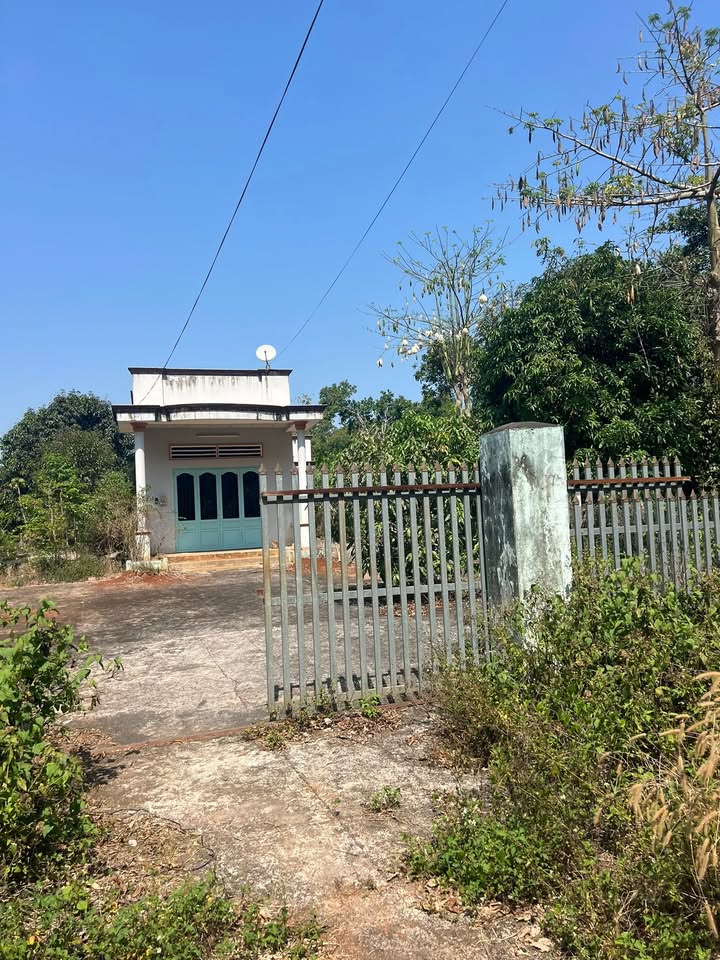 Đất Vườn 6100m² Xã Bàu Lâm, Xuyên Mộc - Sổ Hồng Thổ Cư, Mặt Tiền Nhựa 14m