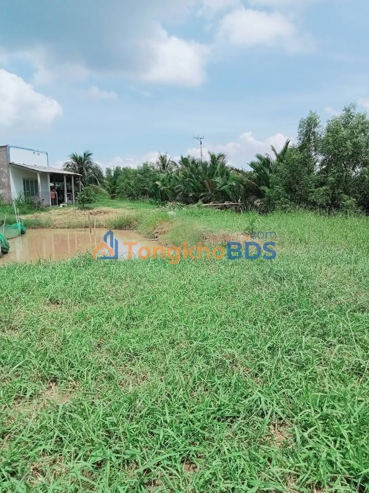 Đất Nền Trà Vinh 12.8ha - Sổ Đỏ Rõ Ràng, Giá Tốt Đầu Tư