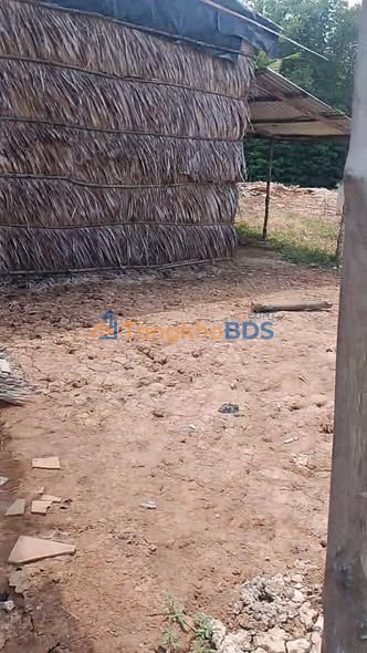 Bán gấp đất nền 3700m² tại Bạc Liêu - Sẵn sàng đầu tư, xây nhà