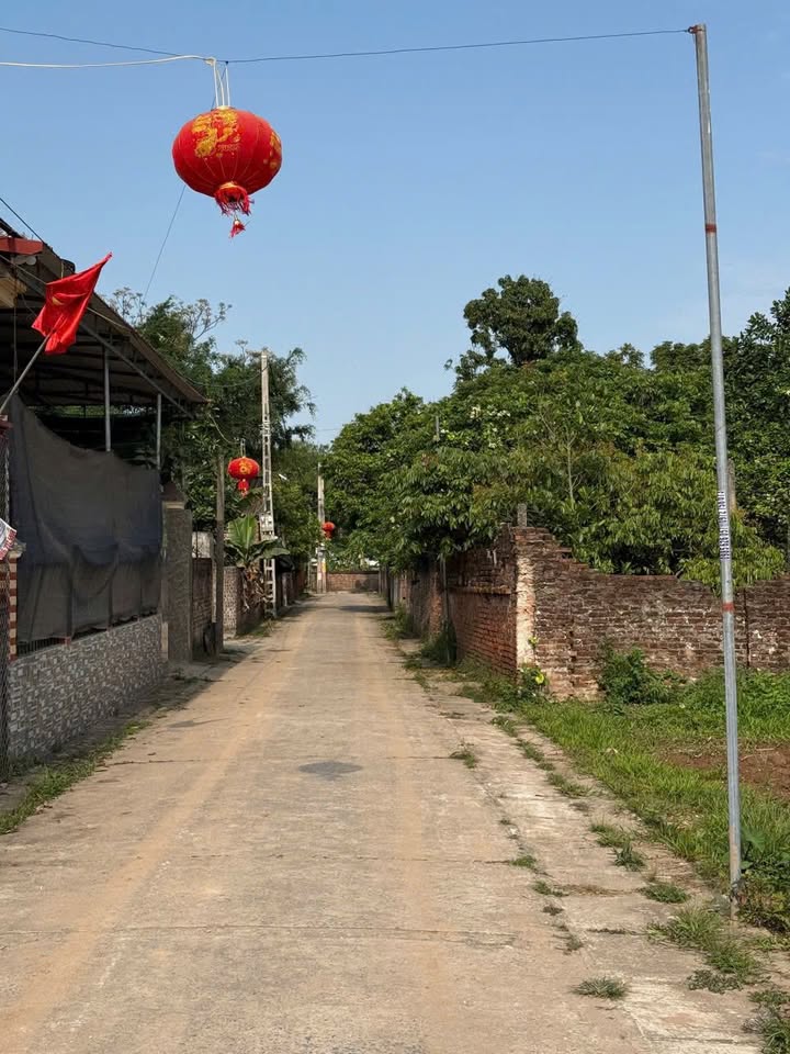 Đất nền Trại Diền, Phú Xuyên 80m² - Mặt tiền kinh doanh 5.02m, giá 2 tỷ