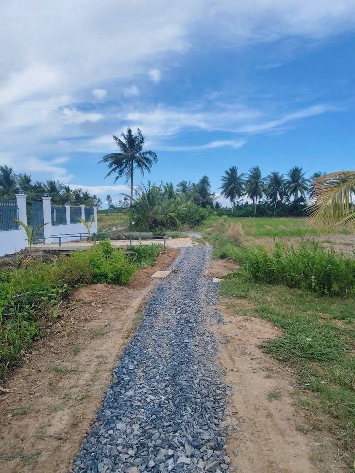 Bán Đất Nền Mỹ Xuyên Sóc Trăng - 1000m² Thổ Cư, Sổ Hồng Riêng