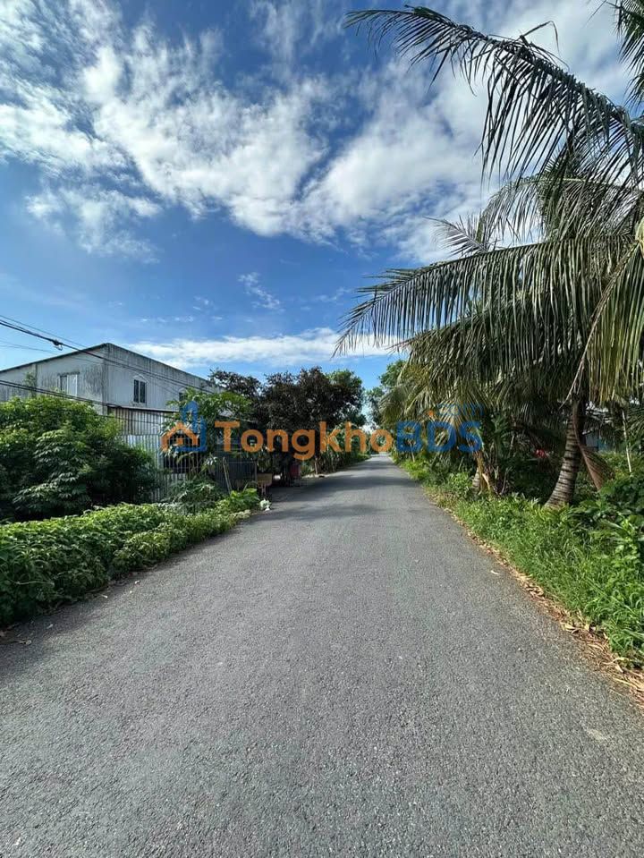 Bán Đất Mặt Tiền Nguyễn Văn Huynh, Sóc Trăng - 590m² Thổ Cư, Giá 1.25 Tỷ