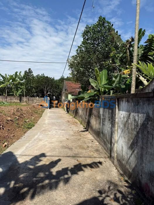 Đất Sổ Đỏ Bình Lục, Hà Nam - 220m² Giá Chỉ 500 Triệu, Ô Tô Tận Nơi