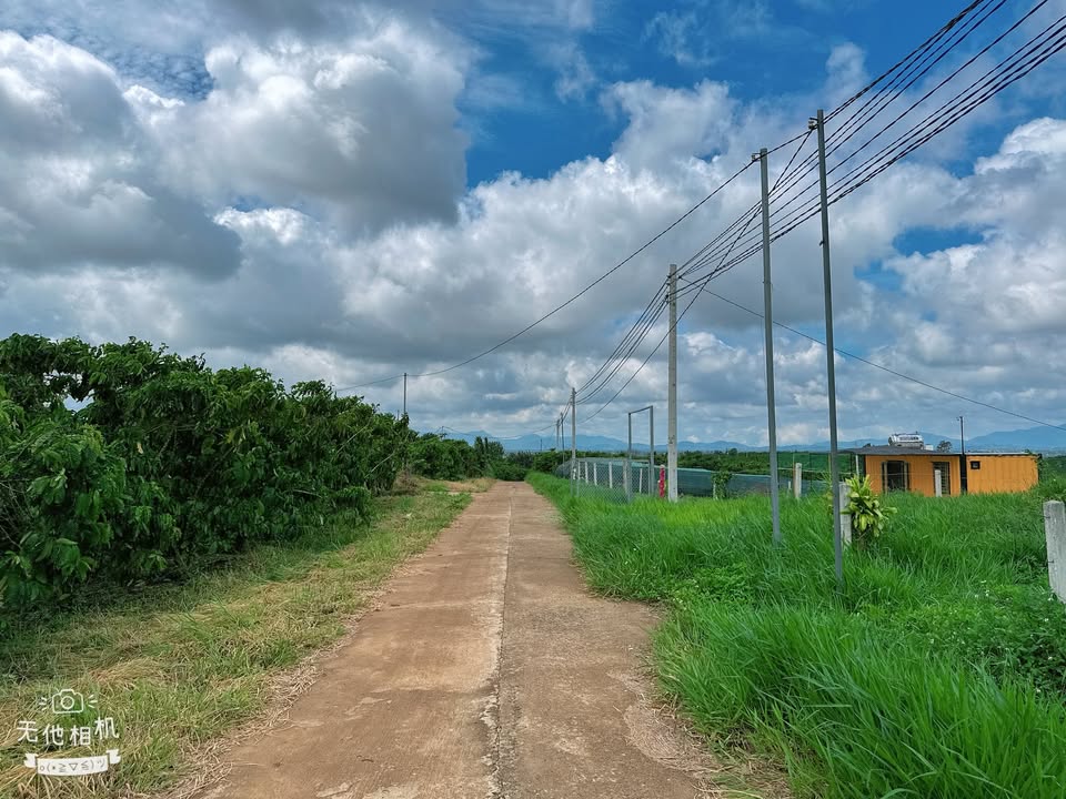 Đất thổ cư 600m² Đoàn Thị Điểm, Di Linh - Giá 1.25 tỷ, Sẵn Sổ Hồng