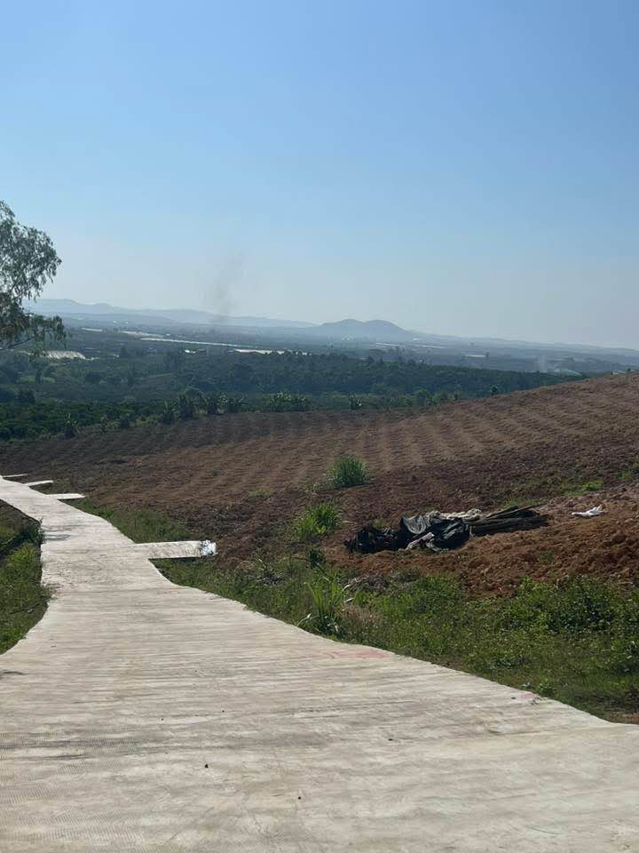 Đất nền Lâm Hà 1000m² mặt tiền 13m - Giá 530 triệu