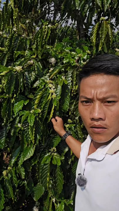 Bán Gấp Đất Nông Nghiệp 4ha Xã Xuân Trường, Đà Lạt - Sẵn Sàng Tưới Tiêu