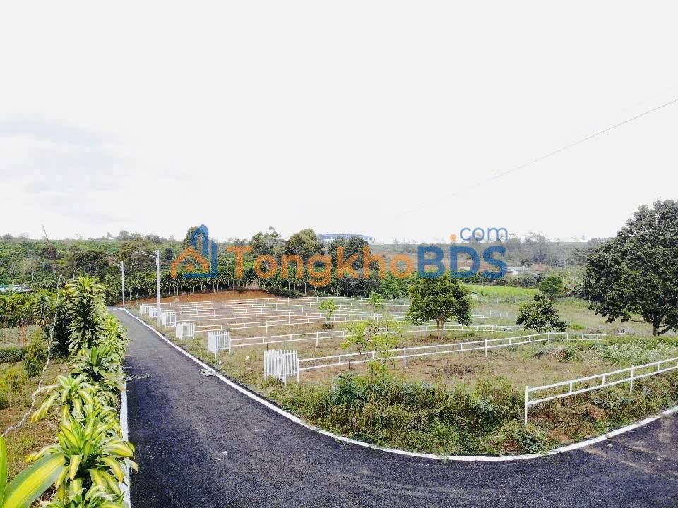 Đất Nền 100m² Lộc An, Bảo Lâm - Giá F0 Chỉ 350 Triệu/Lô