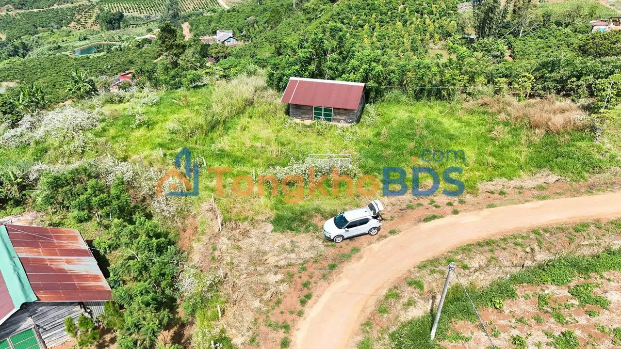 Bán Đất Nông Nghiệp 1.2ha Lâm Hà - View Sông Mát Mẻ, Giá Đầu Tư 30 Tỷ