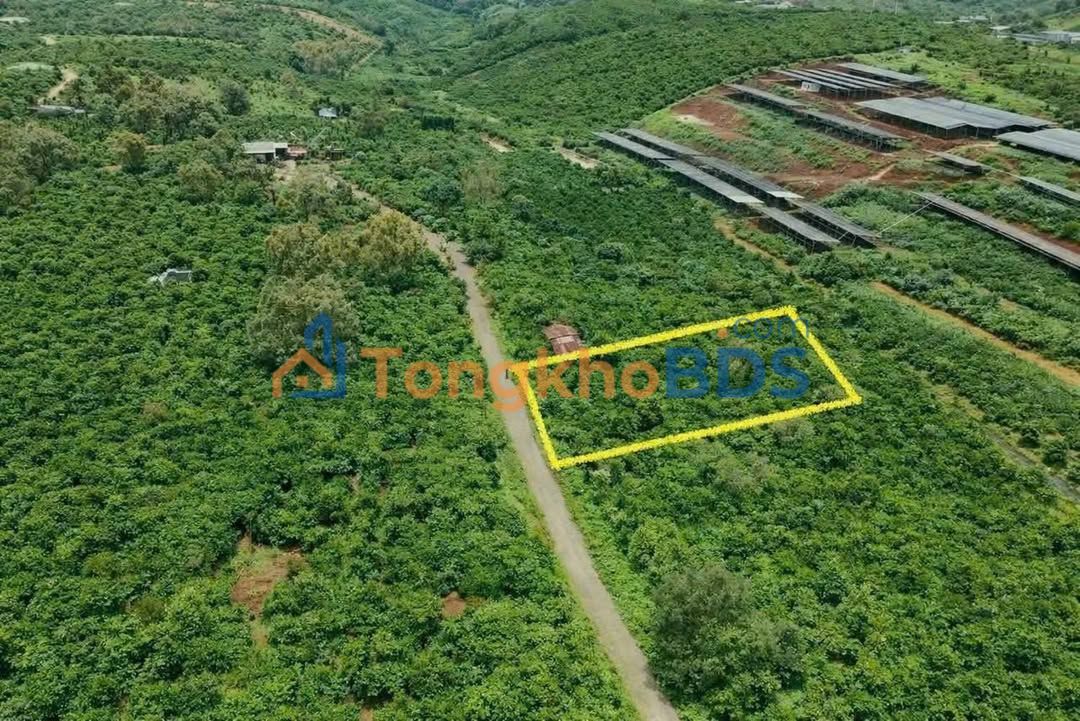 Đất nền mặt tiền đường 19, Lộc An, Bảo Lâm - 500m² giá 999 triệu