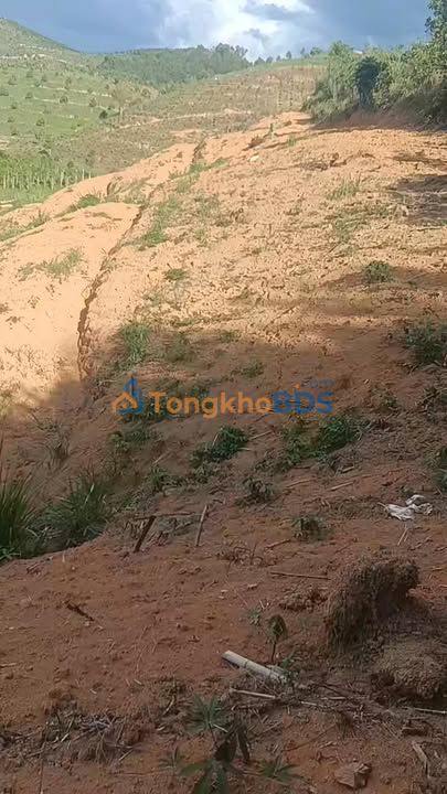 Bán Đất Vườn Lâm Hà 16000m² - Giá Đầu Tư 1.6 Tỷ