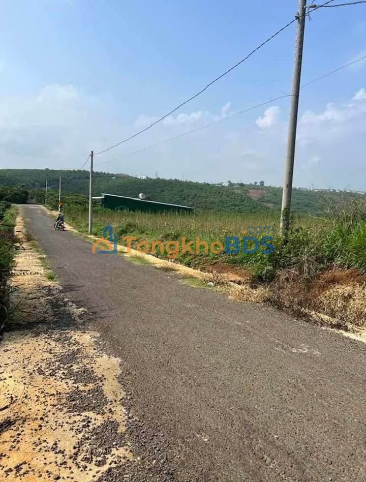 Bán Đất Lộc Ngãi 300m² Mặt Tiền Nhựa - Sổ Thổ Cư 1.3 Tỷ