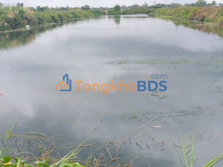 Đất vườn Vĩnh Châu 1ha 9 triệu/năm - Nghỉ dưỡng lý tưởng