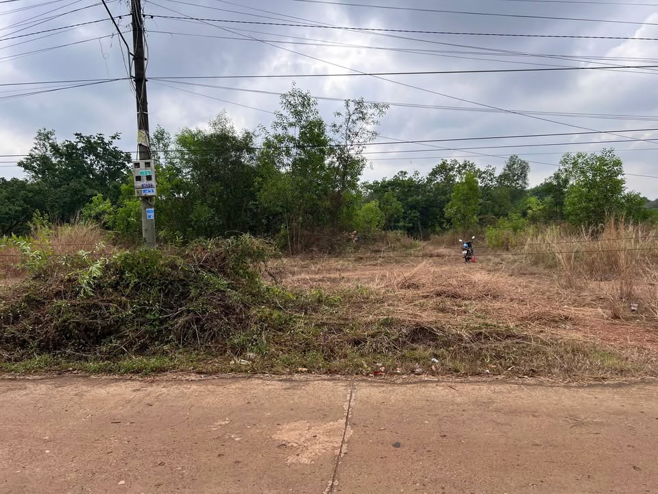 Bán đất nền 160m² khu dân cư Cao Su Đồng Phú, Bình Phước - 450 triệu