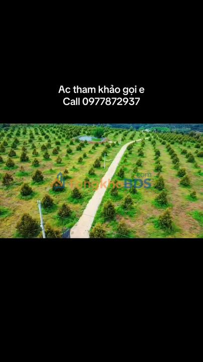 Bán Gấp 10ha Đất Vườn Trồng Sầu Riêng Tại Bình Phước - Sẵn Sàng Kinh Doanh