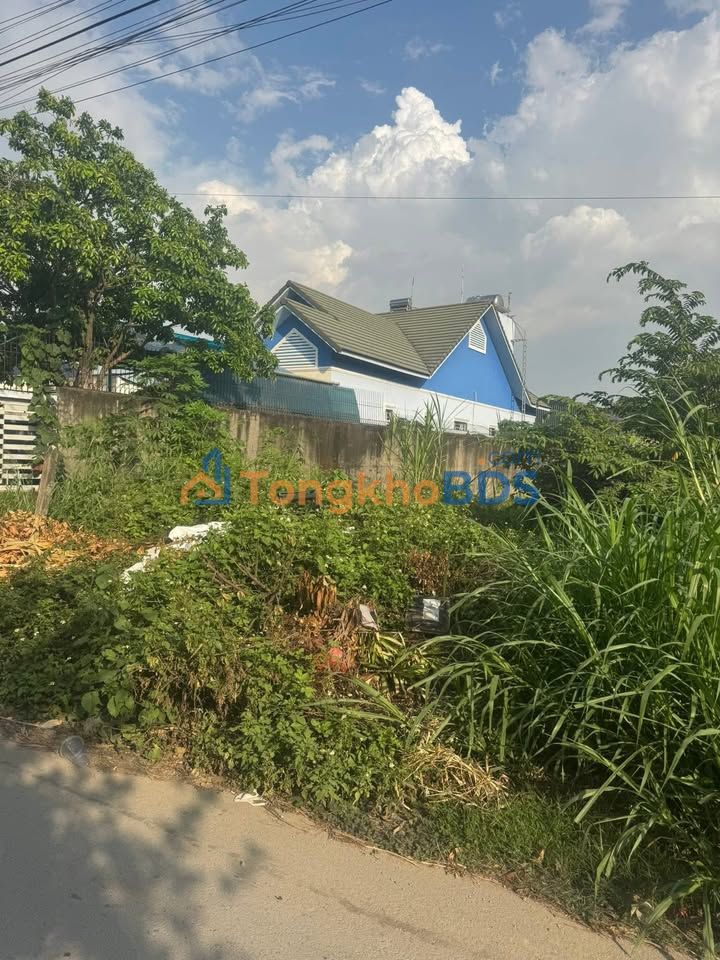 Bán Đất Vườn 506m² Tân Đông Hiệp - Sát Đại học FPT, Giá 6.5 Tỷ