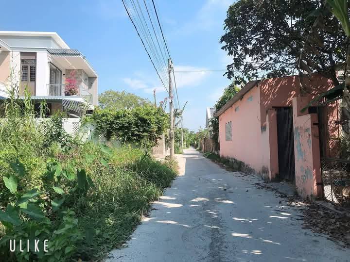 Đất Vĩnh Long 1000m² CLN (QH đất ở) - Giá 6.5 Tỷ - Gần Trung Tâm