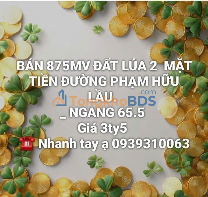 Bán Đất 875m² Mặt Tiền Phạm Hữu Lầu, Sa Đéc - Giá 3.5 Tỷ