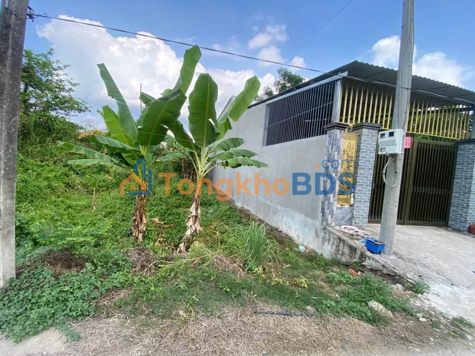 Đất thổ cư 150m² Phường Tân Hạnh, Vĩnh Long - Lộ nhựa xe hơi, View sông