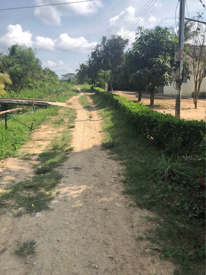 Bán Đất Vườn Trà Vinh 3500m² - Giá Đầu Tư 3.5 Tỷ, Sẵn Sàng Làm Ruộng