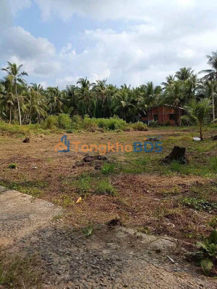 Đất Nền 232m² Bến Tre - Sổ Đỏ, Gần Trung Tâm Xã, Giá 350 Triệu