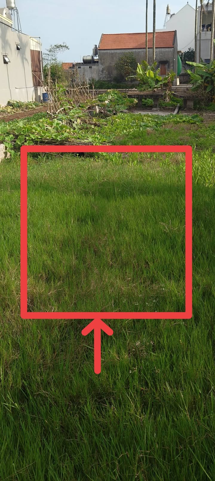 Bán Đất Biển Hải Xuân 372m² - Chia 2 Sổ, Gần Biển, Sẵn Sàng Đầu Tư