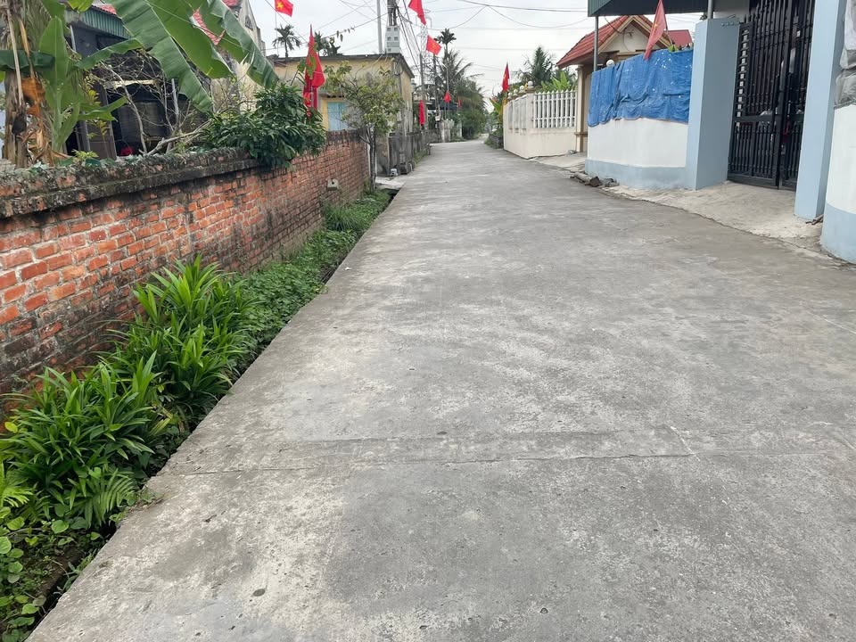 Đất Nền Xã Quang Trung, Tứ Kỳ 96m² - Vị Trí Vàng, Sẵn Sàng Đầu Tư