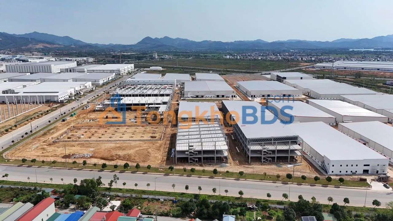 Bán Đất Farm 24.000m² Cẩm Giàng, Hải Dương - Giá 33.6 Tỷ - Sẵn Chủ Trương Đầu Tư